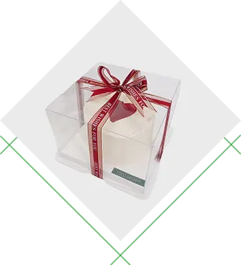 Plastic Box